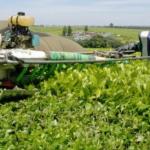 9-Year-Old Boy Killed By Tea-Plucking Machine In Kericho