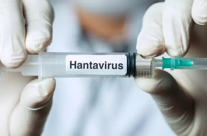 Why Hantavirus Remains a Low-Risk Workplace Concern in 2026