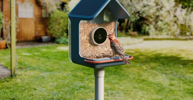 Birdbuddy 2 Smart Feeders Make Birdwatching Easy