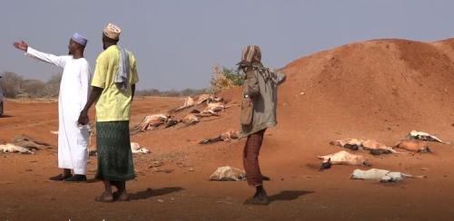 Kenya Gets Sh17bn World Bank Drought Mitigation Support