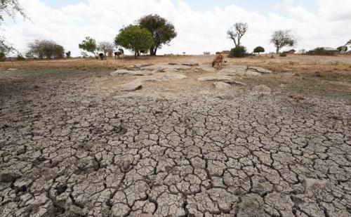 Sri Lanka To Compensate 53,965 Farmers Affected By Drought