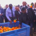 Wetang’ula Pushes For Cooperation With Algerian Companies