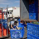 Chinese Logistics Companies See Improving Business Environment: Survey