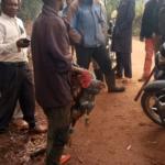 Nyamira: Residents Raise Alarm Over Rise In Robberies