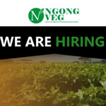 Ngong Veg Hiring Agronomy Audit Manager