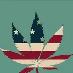 Marijuana on the 2026 Ballot: What Employers Should Know