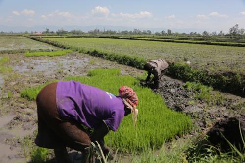 Just 9 Per Cent Of Kenya’s Irrigable Land Developed- PBO report