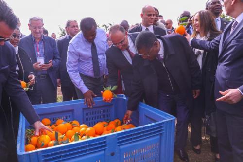 Wetang’ula Pushes For Cooperation With Algerian Companies