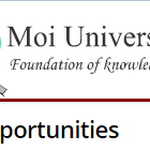 Vacancy Advertisement (External): University Librarian, Software Developer, Multimedia Developer, Elearning Designer