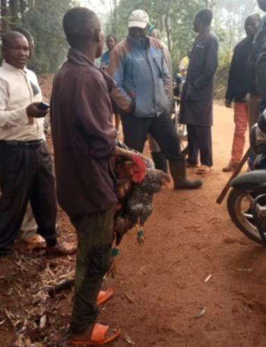 Nyamira: Residents Raise Alarm Over Rise In Robberies