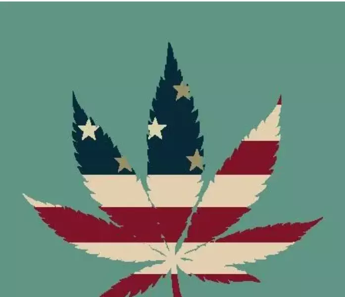 Marijuana on the 2026 Ballot: What Employers Should Know