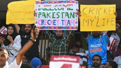 Standing Out In The Crowd - A Pakistan Fan At India's World Cup