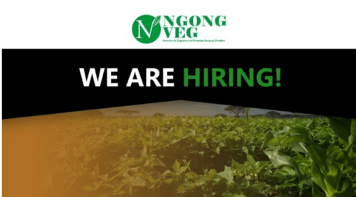 Ngong Veg Hiring Agronomy Audit Manager