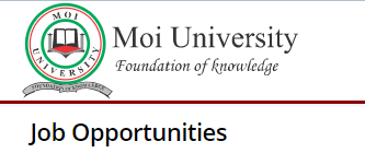 Vacancy Advertisement (External): University Librarian, Software Developer, Multimedia Developer, Elearning Designer