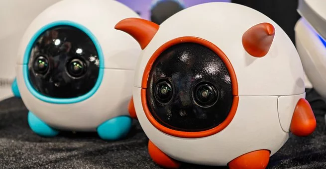 Vex Robot Films Pets Automatically