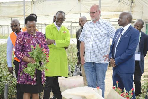 Flower Farmers Up In Arms Over New Water Tariffs