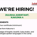 Julisha Assistant Needed