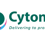 Product Development & Service Design Internship Open At Cytonn
