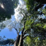 Bamburi Nature Trails: Where Nature And Adventure Meet
