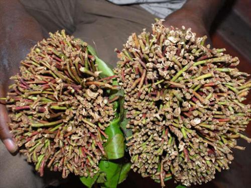 Remove Miraa From Drug List For More Markets, Union Tells State
