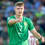 Ferguson Out Of Ireland's Euro Qualifiers