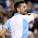 Djokovic Dominates Monfils In Cincinnati, Alcaraz Outlasts Paul