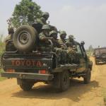 14 Villagers Hacked To Death In West DR Congo