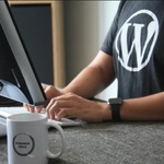 WordPress Is Now Selling 100-Year Domains