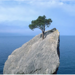 Avoid These 3 Leadership Blind Spots to Build Resilience