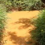 Two Children Drown In Neighbour’s Swamp In Budalangi