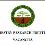 47 Vacancies Open At Kenya Forestry Research Institute (KEFRI)