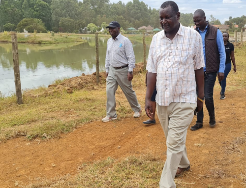 Over 3,000 Athletes Expected At Sunday's Discovery Cross Country