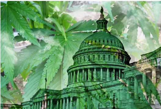 Congress Bans Delta-8: What the New Hemp Law Really Means