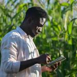 Kenyan Agritech Start-Up Develops Farmer Registration App
