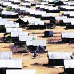 The Unending Tragedy Of Refugees Calls For Review Of Citizenship Laws