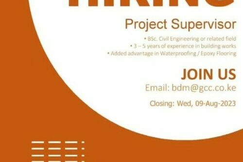 Project Supervisor Needed