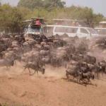 Kenya Ranks Second At Key Tourism Expo
