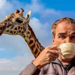 E-Tourism Frontiers Relaunches Operations With A New Focus On Ai, Tourism