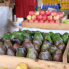 Philippines To Resume Hass Avocado Export To S. Korea