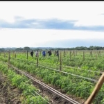 Kenya’s FarmWorks Raises $4M Pre-Series A Funding