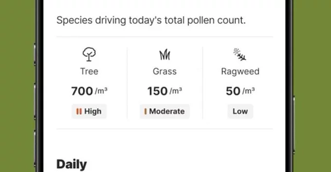 The Weather Channel App Now Predicts Bad Allergy Days: What You Need to Know