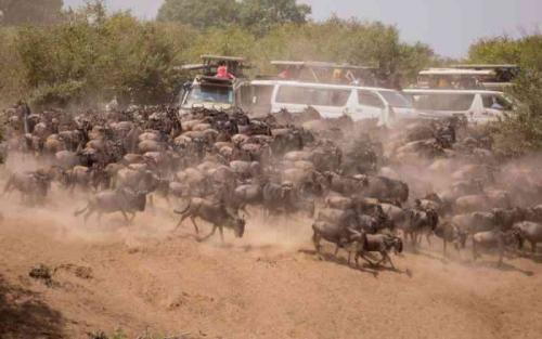 Kenya Ranks Second At Key Tourism Expo