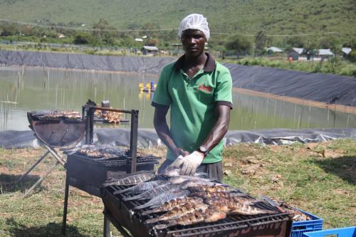 Investment In Aquaculture Will Boost Nyanza Economy, President Ruto