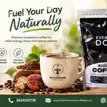 How Everyday Dose Mushroom Coffee Transforms Mornings in 2026