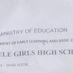 Gelegele Girls Hiring School Bursar