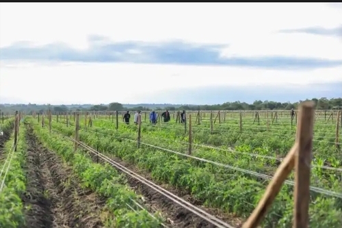 Kenya’s FarmWorks Raises $4M Pre-Series A Funding