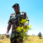 Outgoing KFS Boss Julius Kamau Celebrates 12% Tree Cover In 4 Years