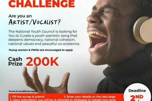 Entries Open For – Fursa Youth Challenge