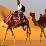 Exploring the UAE: Desert Safari and City Tours from Sharjah