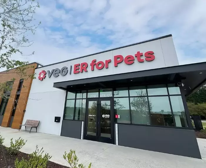 It’s 2 A.M. At The Vet. Why Emotional Intelligence Makes All The Difference